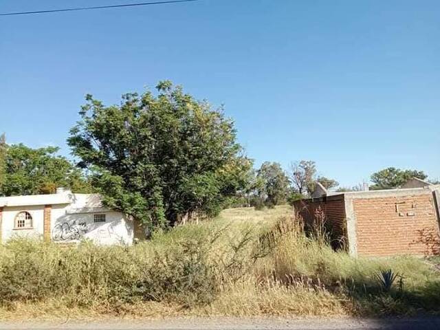 #43 - Terreno para Venta en León - GT - 3